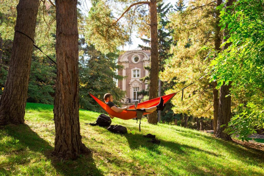 Wellness tips for college students studying outside